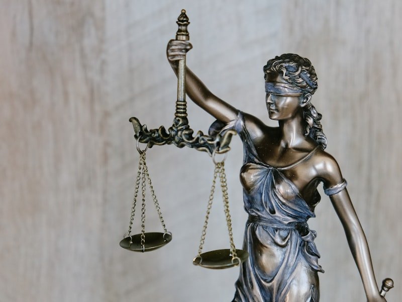Professional Intellectual Property Services
