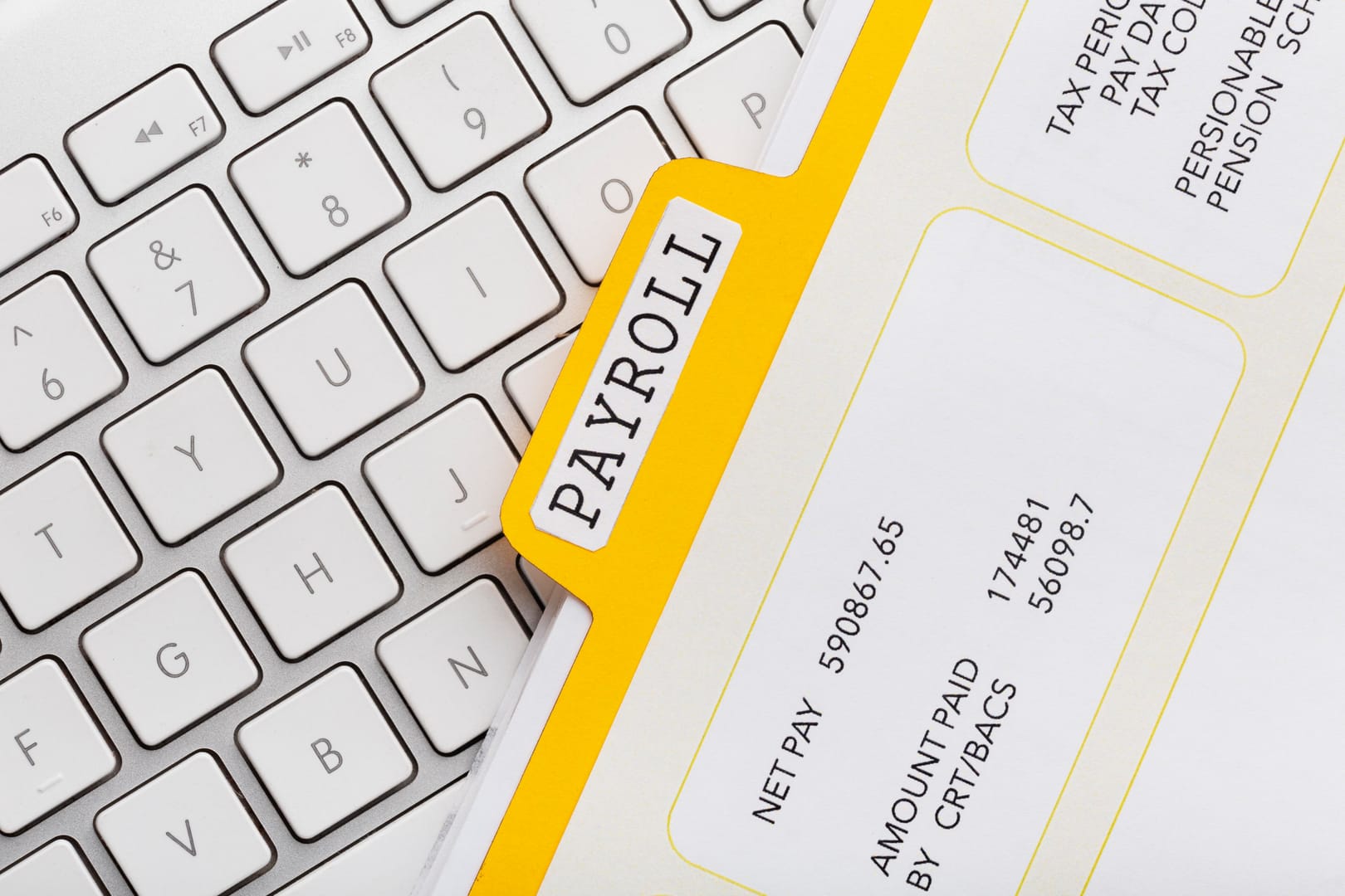 WPS & Payroll Management